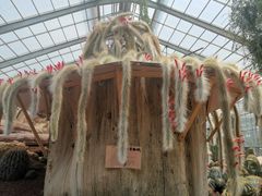 -南通洲际绿博园