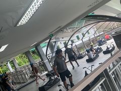 -圣淘沙天际线斜坡滑车