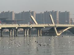 -蠡湖大桥公园