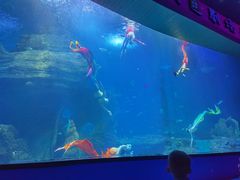 -多彩贵州城极地海洋世界