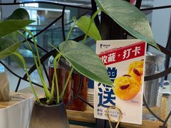 -眉州东坡(鸿坤店)