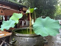 -土砂锅生态山庄·非遗砂锅雅鱼