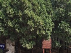 -四门塔风景区