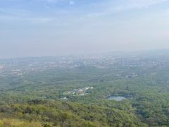 -紫金山山顶公园