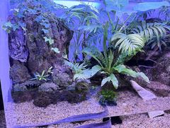 -上海海洋水族馆