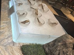-半岛翡丽海鲜自助餐厅(观风亭店)