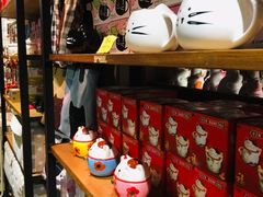 -猫咪博物馆(顶澳仔猫街店)