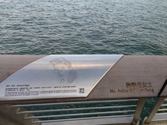 -星光大道