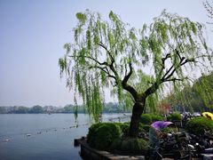 -西湖外事游船(花港观鱼码头)