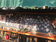 -柴犬高等学院·狗咖·柴犬售卖·宠物训练