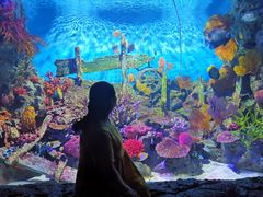 -暹罗海洋世界