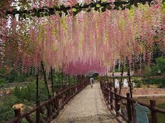 -伏羲大峡谷
