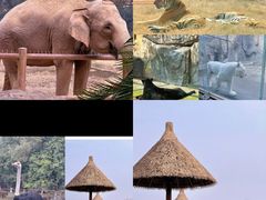 -南昌动物园