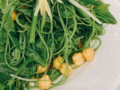 清炒南瓜尖儿-巴依老爷新疆美食(工体旗舰店)