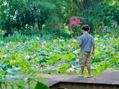 -福建鲤鱼洲酒店