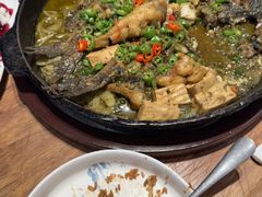 -老板恋上鱼(恒隆广场店)