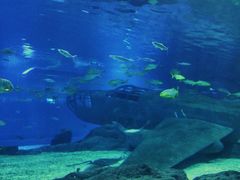 -福州罗源湾海洋世界旅游区