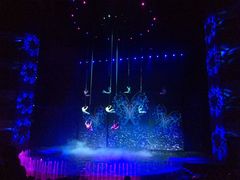 -水秀国际大剧院