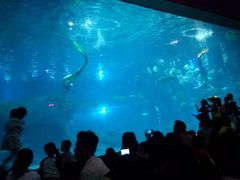 -福州罗源湾海洋世界旅游区