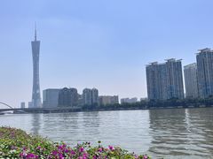 -广州都市观光巴士(粤陶巴)