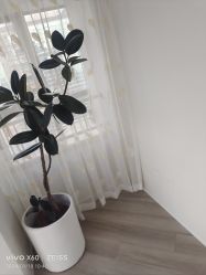 -HEYAN荷妍专业脱毛连锁机构