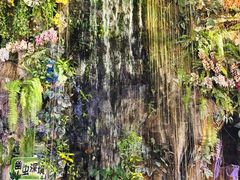-正佳雨林生态植物园