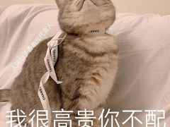 -鱼库·不仅是一家烤鱼店(车公庙店)