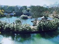 -无锡蠡湖国家湿地公园-蠡园