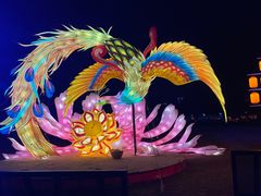 -武汉园博园(武汉自然博物馆)