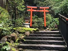 -天悠五樓餐廳