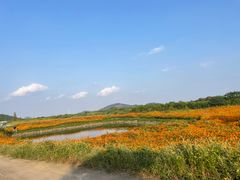 -南北湖风景区