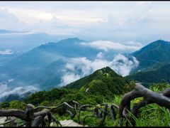 -梧桐山风景名胜区