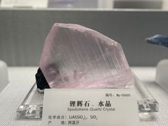 -湖南省地质博物馆