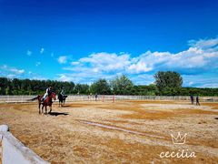 -月河湾马术俱乐部(朝阳店)