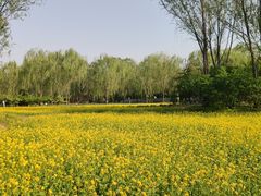 -北坞公园
