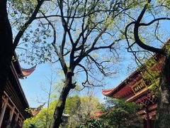 -南岳衡山风景名胜区