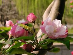 -元大都城垣遗址公园