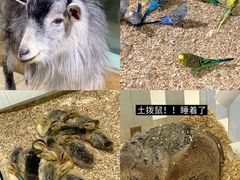 -怪兽屋·羊驼·猫咖·狗咖(俊华广场店)