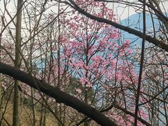 -九皇山景区