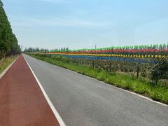 -上海长兴岛郊野公园