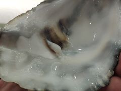 -HIHE Bistro·Oyster Bar(华熙live店)