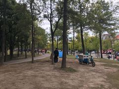 -美兰湖景区