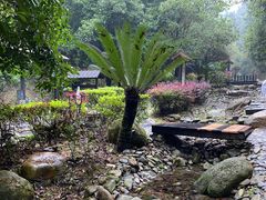 -明月山天沐温泉度假村