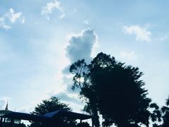 -东芭乐园