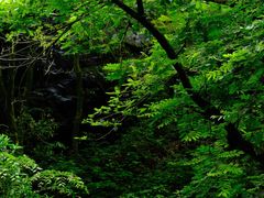 -石台牯牛降景区