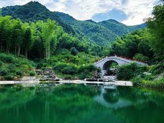 -龙坞茶村
