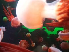 -多彩贵州城极地海洋世界