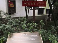 -杭州黄龙洞