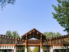 -野鸭湖国家湿地公园