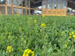 -中国天府农业博览园